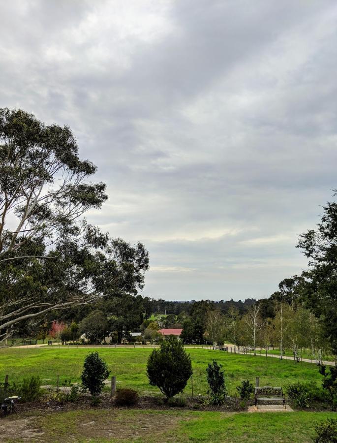 Nicholson Bnb And Arts Centre Bagian luar foto